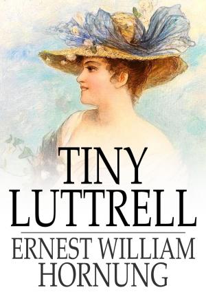 Cover of the book Tiny Luttrell by A. E. W. Mason