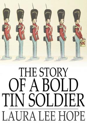 Cover of the book The Story of a Bold Tin Soldier by Edward Bellamy