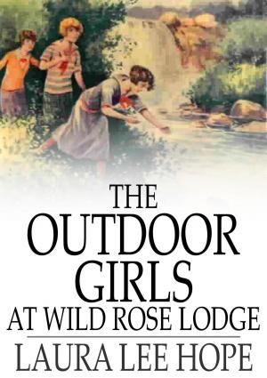bigCover of the book The Outdoor Girls at Wild Rose Lodge by 