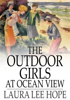 Book cover of The Outdoor Girls at Ocean View