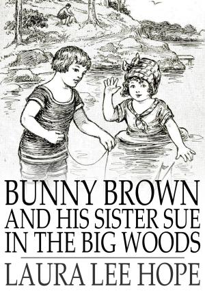 Cover of the book Bunny Brown and His Sister Sue in the Big Woods by Edward Carpenter