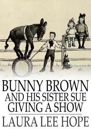 Book cover of Bunny Brown and His Sister Sue Giving a Show
