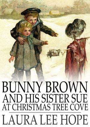 Book cover of Bunny Brown and His Sister Sue at Christmas Tree Cove