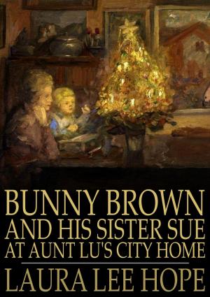 Book cover of Bunny Brown and His Sister Sue at Aunt Lu's City Home