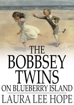 Cover of the book The Bobbsey Twins on Blueberry Island by Rabindranath Tagore