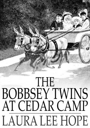 Book cover of The Bobbsey Twins at Cedar Camp