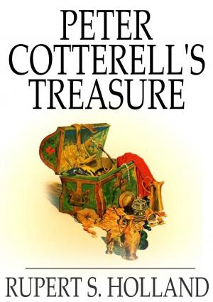 Cover of the book Peter Cotterell's Treasure by Roy J. Snell