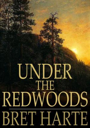 Cover of the book Under the Redwoods by A. Foster