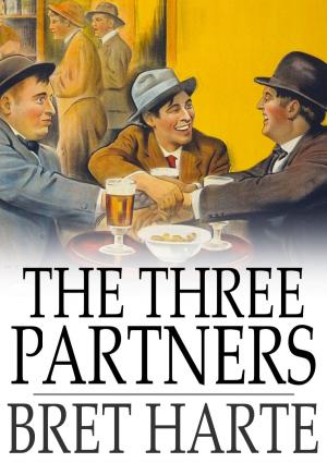 Cover of the book The Three Partners by D. Starke