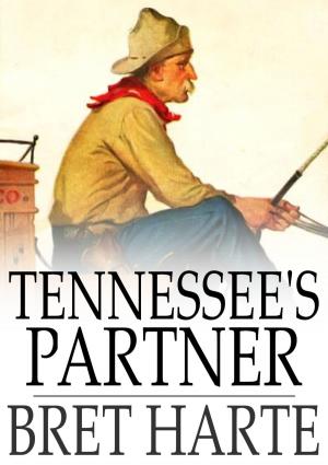 Book cover of Tennessee's Partner