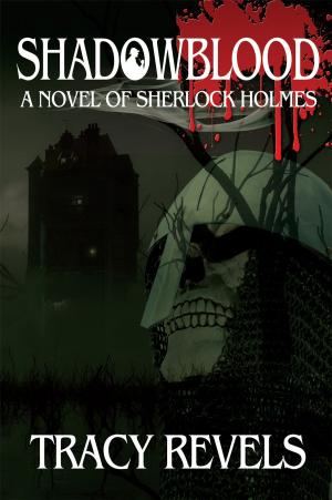 Cover of the book Shadowblood by Paul Andrews