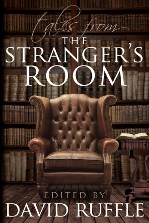 bigCover of the book Sherlock Holmes: Tales From the Stranger's Room by 