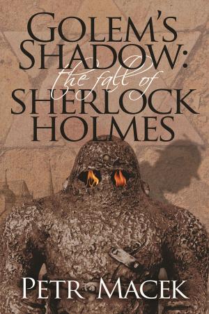 Cover of the book Golem's Shadow by Kate Baucherel