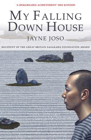 Cover of the book My Falling Down House by Jasmine Donahaye