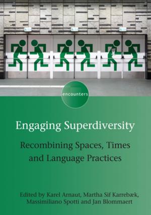 Cover of the book Engaging Superdiversity by Theresa Catalano