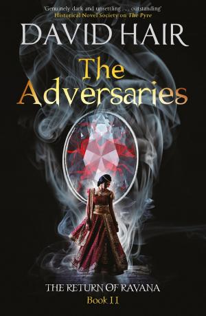 Cover of the book The Adversaries by Derek Robinson