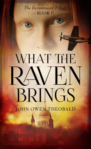 Cover of the book What the Raven Brings by J.T. Brindle