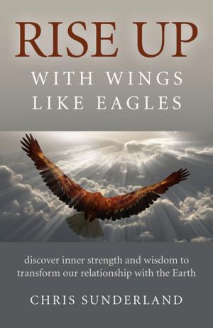 Cover of the book Rise Up - with Wings Like Eagles by David Jones, Jean Sinnett