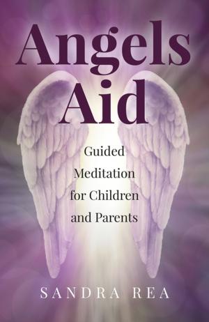 Cover of the book Angels Aid by Dr. Hannah E. Johnston