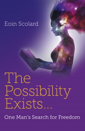 Cover of the book The Possibility Exists ... by Tony McKenna