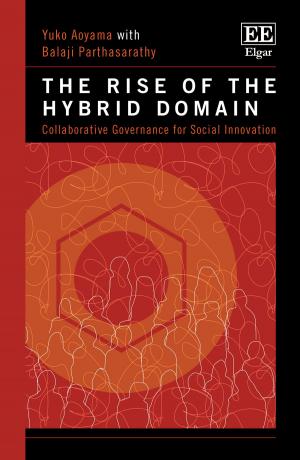 Cover of the book The Rise of the Hybrid Domain by Bregt Natens