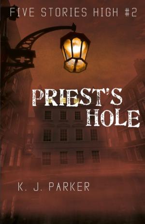 Cover of the book Priest's Hole by Mike Wild