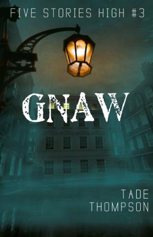 Cover of the book Gnaw by Nan McAdam