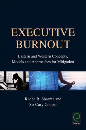 Book cover of Executive Burnout