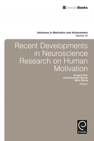Cover of the book Recent Developments in Neuroscience Research on Human Motivation by Arch G. Woodside