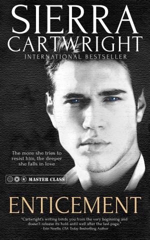 Cover of the book Enticement by Sierra Cartwright