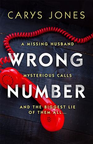 Cover of the book Wrong Number by Larry Bond, Patrick Larkin