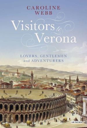 Cover of the book Visitors to Verona by Manola Costanzi, Domitilla Petriaggi