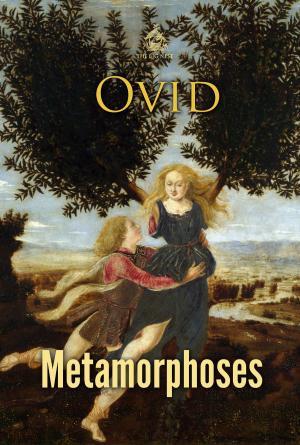 Cover of the book Metamorphoses by Elena G.Rivers