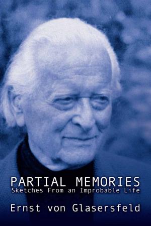 Cover of the book Partial Memories by Linda Pound