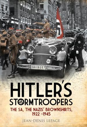 Cover of the book Hitler's Stormtroopers by Elliott  White Springs, Lieutenant Horace  Fulford