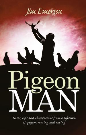 Cover of the book Pigeon Man by Eddie Thompson