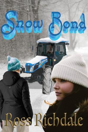 Cover of the book Snow Bond by Virginia Alison