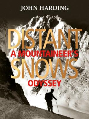 Cover of the book Distant Snows by Andy Pollitt