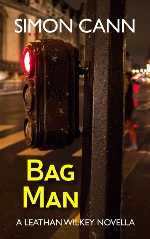 Book cover of Bag Man