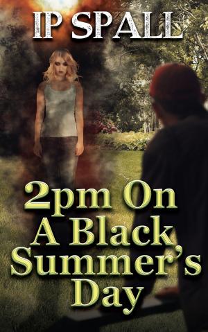 Book cover of 2pm On A Black Summer’s Day