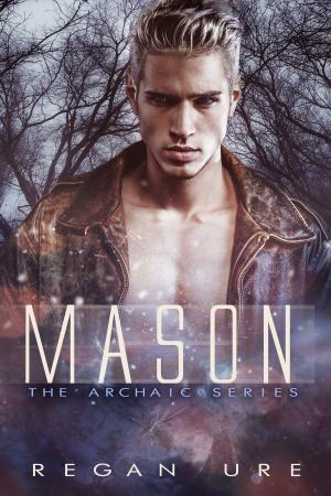 Cover of the book Mason by Raven Nyte