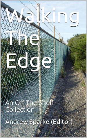 Book cover of Walking The Edge