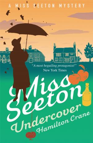 Book cover of Miss Seeton Undercover