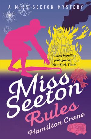 Cover of the book Miss Seeton Rules by M. Ruth Myers