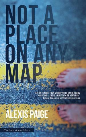 bigCover of the book Not a Place on Any Map by 