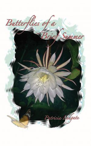 Cover of the book Butterflies of a Brief Summer: Mémoires – Les Souvenirs sont faits de tels Moments by David A Petersen