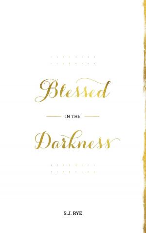 Cover of the book Blessed in the Darkness by Shirley Burgess