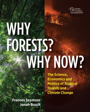 Cover of the book Why Forests? Why Now? by Michael E. O'Hanlon