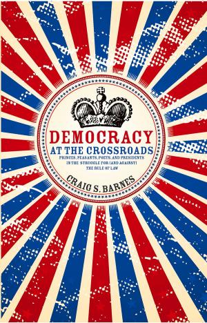 Cover of the book Democracy at the Crossroads by Joel Christian Gill