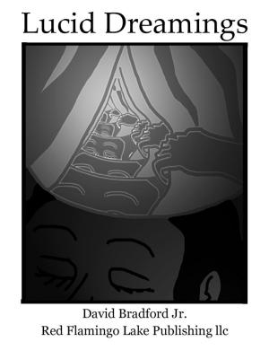 Cover of the book Lucid Dreamings by David Bradford Jr.